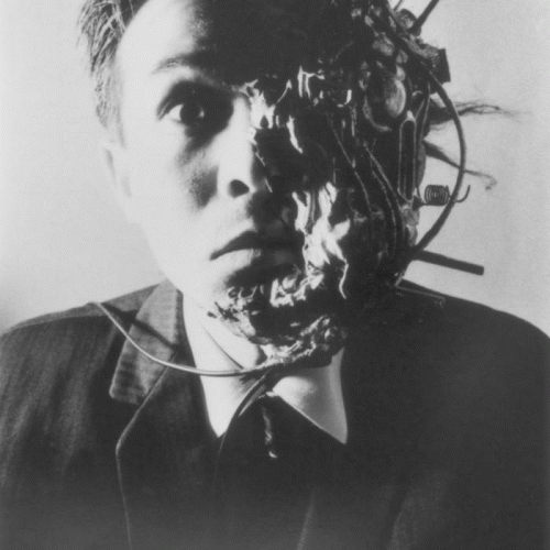 The Brood (UK) : The Brood